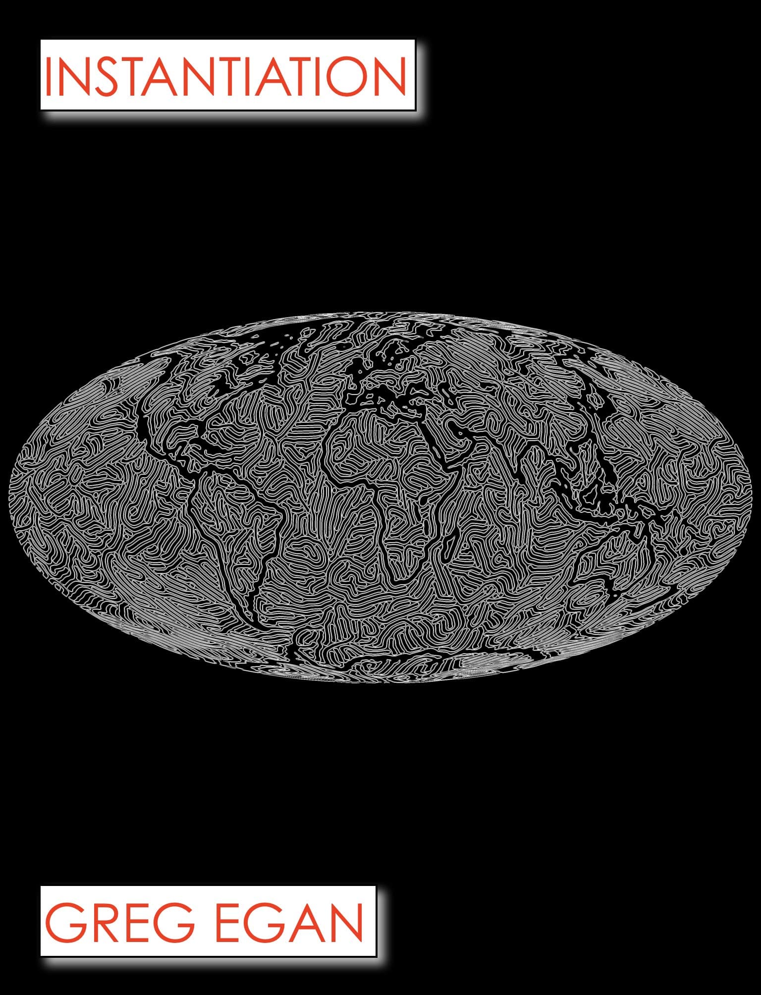 The cover of Instantiation