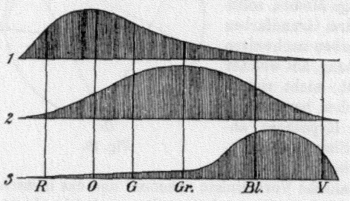 Thomas Young and Hermann von Helmholtz assumed that the eye’s retina consists of three different kinds of light receptors for red, green and blue.\n<span class="figure--credit">Public Domain via Wikipedia</span>