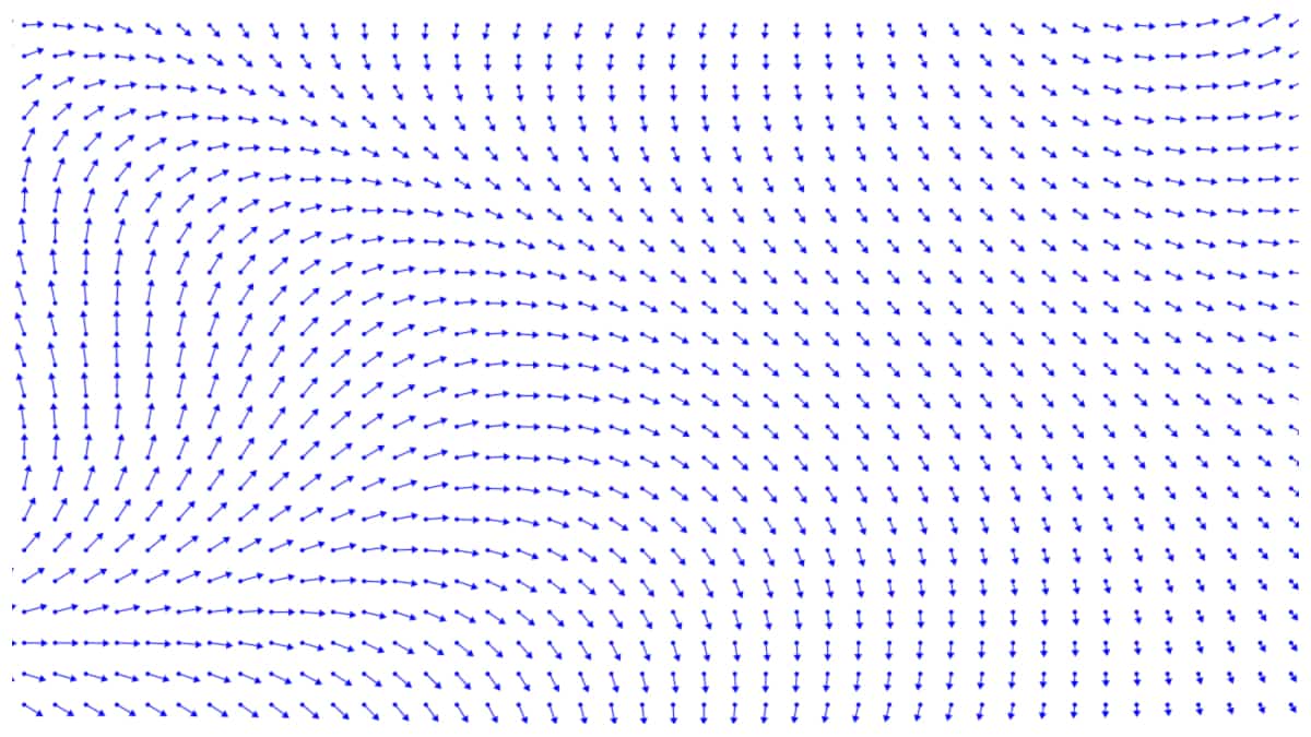 A flow field. The arrows show which direction the field is moving at that point.