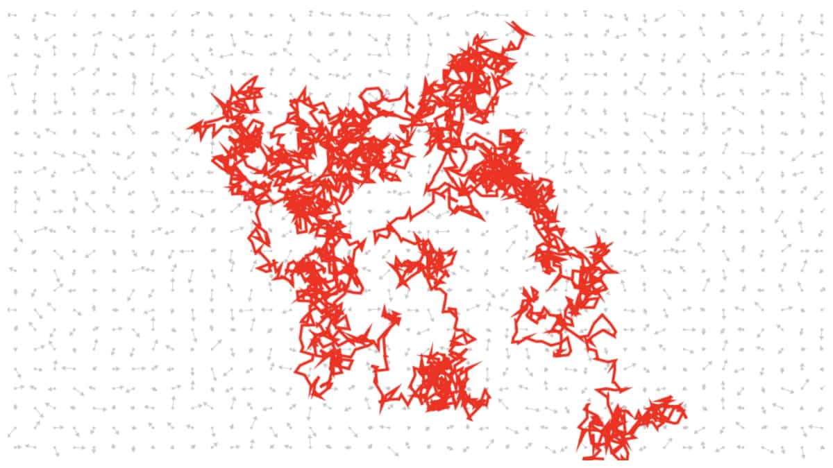 A line moving throw a flow field where every vector is randomly generated