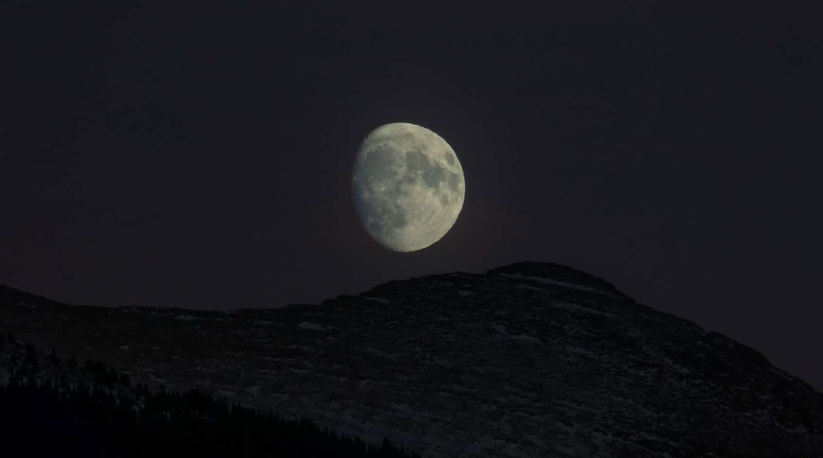 Photo by Kym MacKinnon on Unsplash